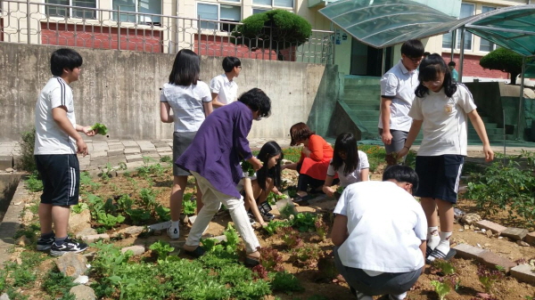 927cd34977daf783253c294084894c31_1548807893_5117.jpg 927cd34977daf783253c294084894c31_1548807893_5117.jpg